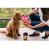 Play- Pup Cup - Giocattoli per cani - Donut