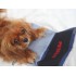 PS - Petflix Dog Toy - Notebook