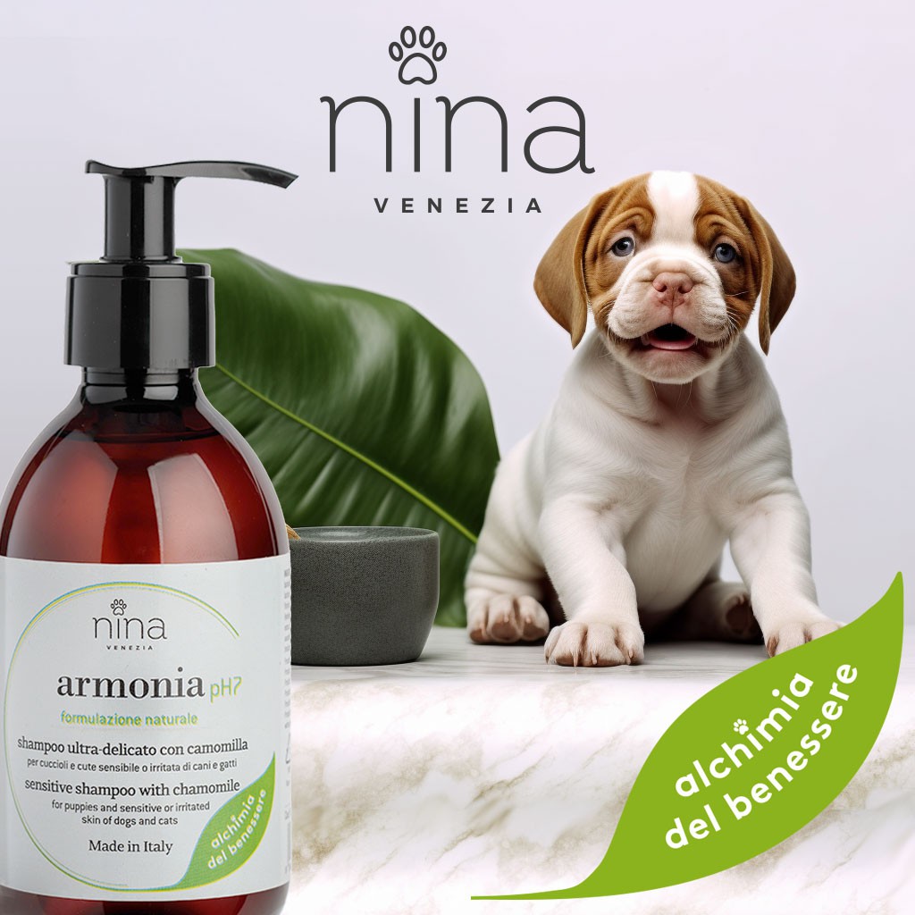 Gattini, fiocchetti e shampoo Nuova mania dei cinesi (soli