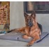 Kora - Cuscino Magnetoterapia per Cani e Gatti 64 x 80 cm