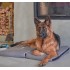 Kora - Magnetotherapy Cushion for Dogs and Cats 64 x 40 cm