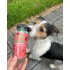 MB - Mix 30 flaconi 150 ml Bolle per Cani e Gatti  - vari aromi -