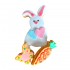 Dolci Impronte - Easter - Pack Carrot Bunny Butterfly 104g