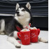 Play - Gioco per Cani - Holiday Classic Collection - Hot Chocolate