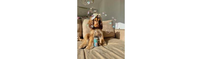 Flavored Bubbles for dog and cats